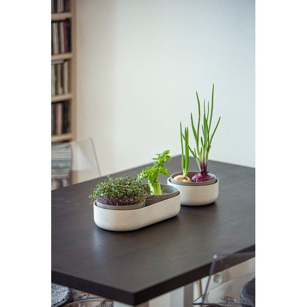 Пластмасова купичка за покълване ø 16 cm Microgreens – Plastia-image-2