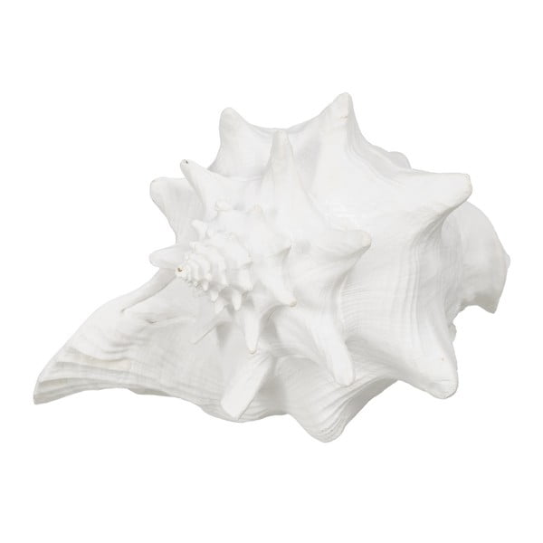 Статуя от полиресин (височина 13 cm) Seashell – Ixia