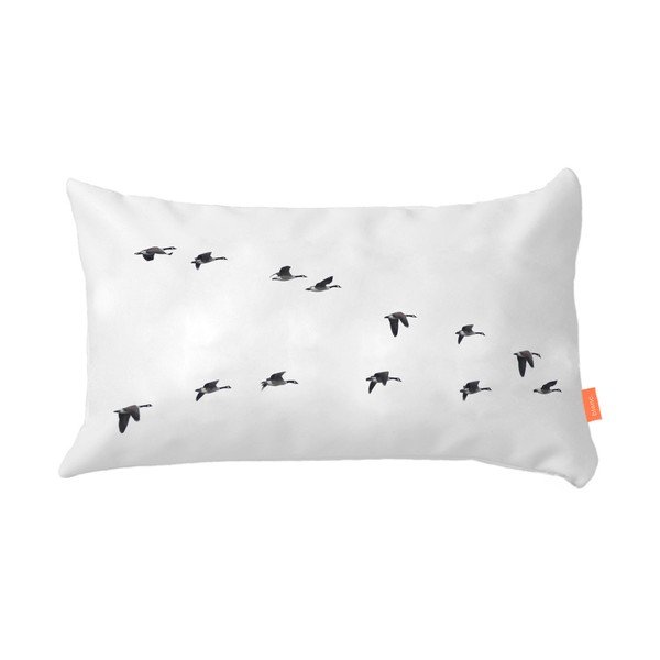 Комплект от 2 памучни калъфки за възглавници Trip - Blanc-image-4