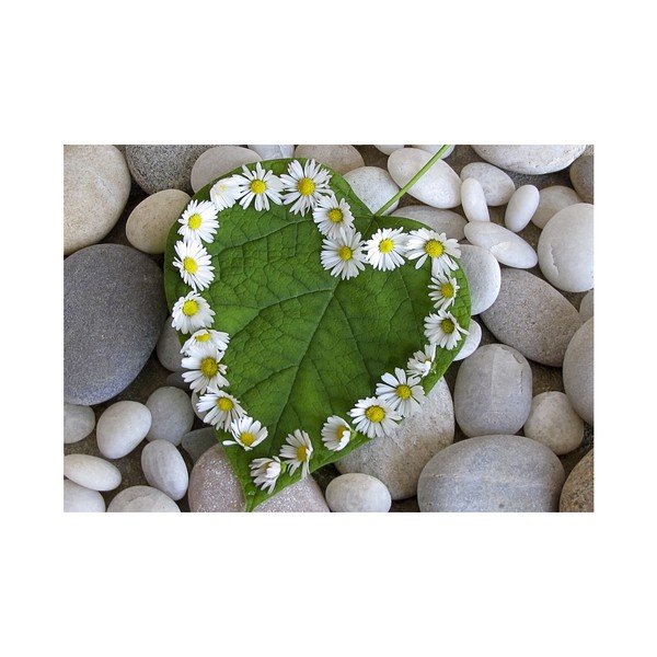 Матрак Aretto, 75 x 52 cm - Zerbelli-image-2