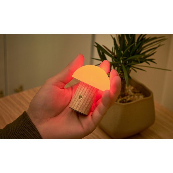 LED затъмняваща се настолна лампа от масивен ясен в естествен цвят (височина 7 cm) Alice – Gingko-image-4
