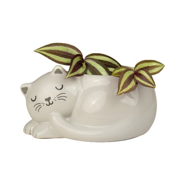 Керамично покритие за кашпа Sleeping Cat – Sass & Belle-image-1