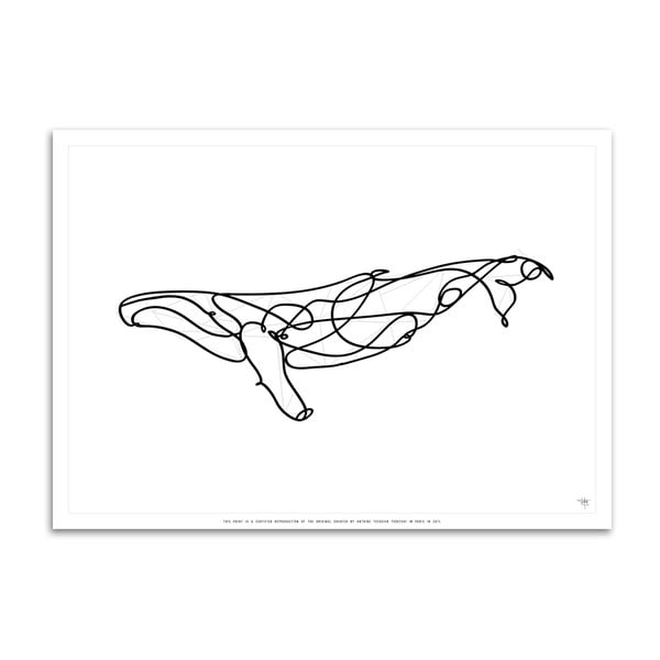 Plakát Humpback Whale-image-4