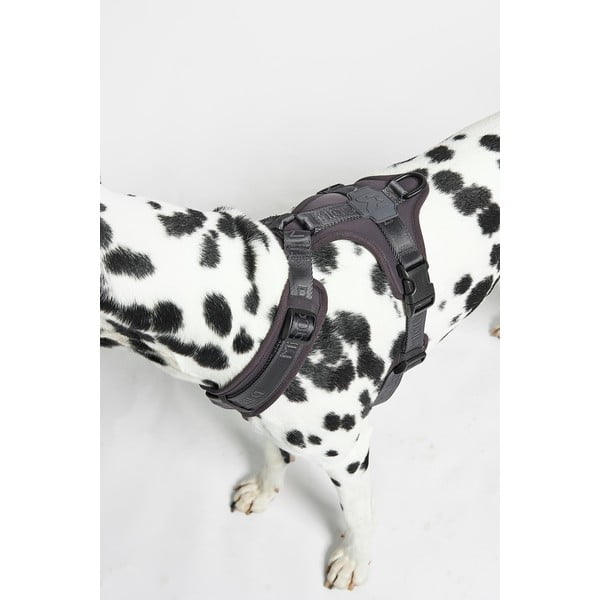 Тъмносива каишка L дължина 42 cm Modena Asphalt L – MiaCara-image-3