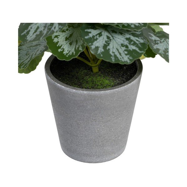 Изкуствено растение (височина 21,5 cm) Saxifraga – Ixia-image-2