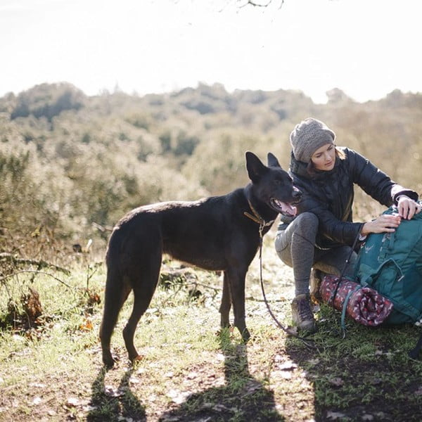 Кафяво легло за пътуване за куче 45x60 cm Outdoor Chill Pad Mocha S – P.L.A.Y.-image-2