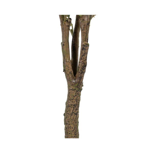Изкуствен евкалипт (височина 173 cm) Eucalyptus – Ixia-image-3