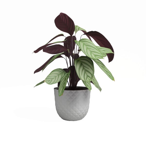 Саксия за цветя от рециклирана пластмаса ø 30 cm Havana – Artevasi-image-2