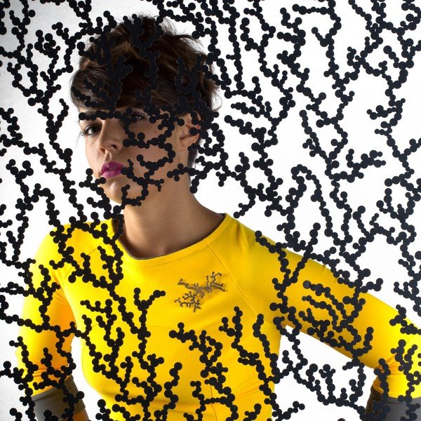 Brož Dendrite-image-2