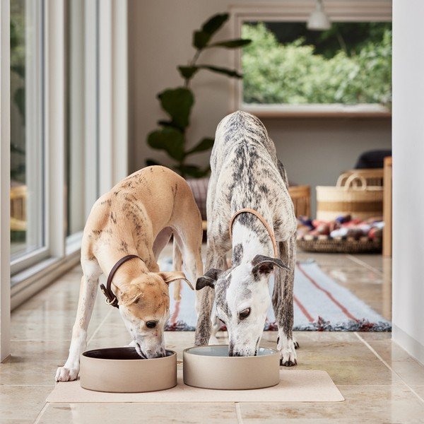 Керамична купа за куче ø 17 cm Sia – OYOY Living Design-image-3