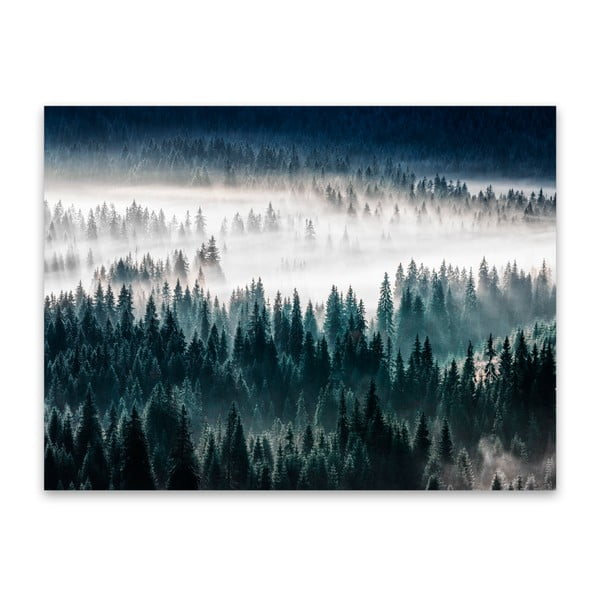Изображение Glasspik Misty Forest, 80 x 120 cm - Styler