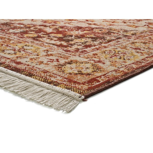 Оранжев килим Caucas Multi, 200 x 290 cm - Universal-image-2