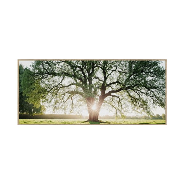 Картина 150x60 cm Tree in the Sun – knor