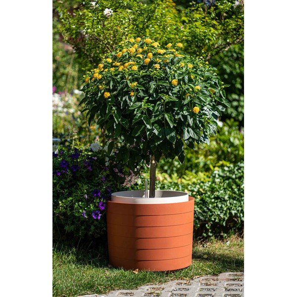 Кафяво-червена саксия със самопочистваща се вода Berberis, ø 55 cm - Plastia-image-1