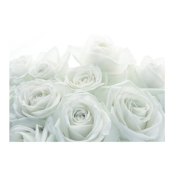 Tapeta Svatební růže, 400x280 cm