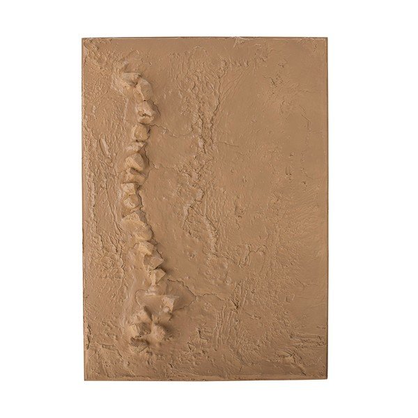 Картина 50x70 cm Sisken – Bloomingville