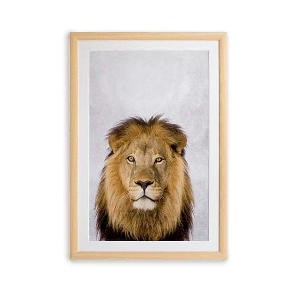 Картина за стена в рамка , 30 x 40 cm Lion - Surdic