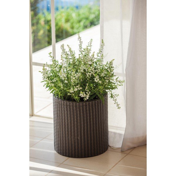 Пластмасова саксия за цветя ø 28 cm Cylinder – Keter-image-1