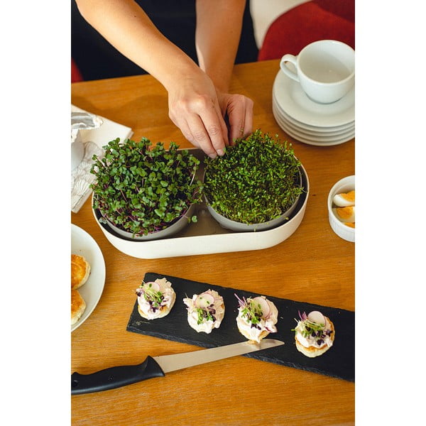 Комплект тави за покълване Velká farma Microgreens & Regrow - Plastia-image-3