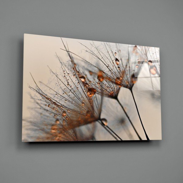 Картина върху стъкло , 72 x 46 cm Cinnamon Dandelion - Insigne-image-3