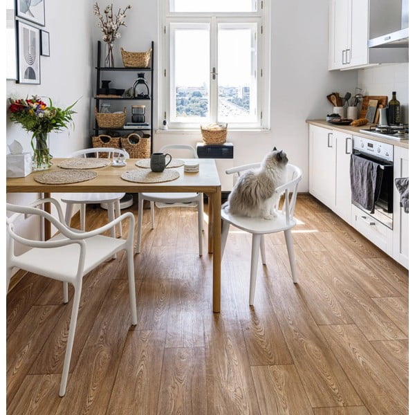 Комплект от 2 бели трапезни стола Chaur Dali - Bonami Selection-image-1