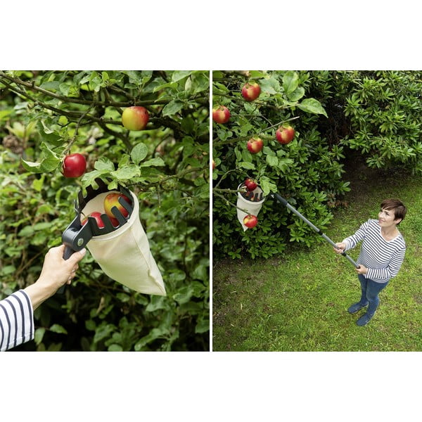 Телескопична берачка за плодове - Maximex-image-1