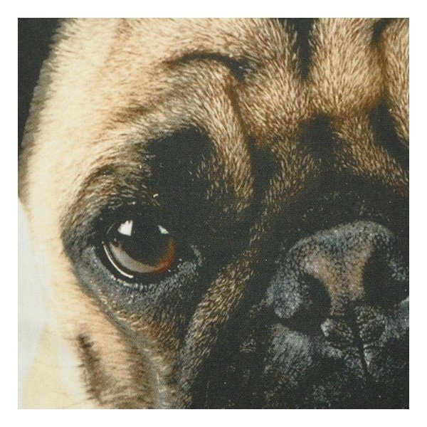 Polštář Mars&More Pug, 50 x 50  cm-image-1