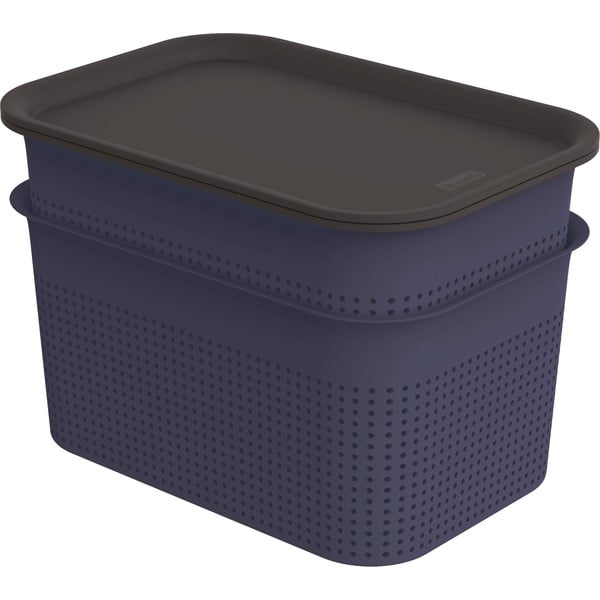 Тъмносини пластмасови кутии за съхранение в комплект от 2 бр. с капаци 18,5x26,5x18 cm Brisen – Rotho
