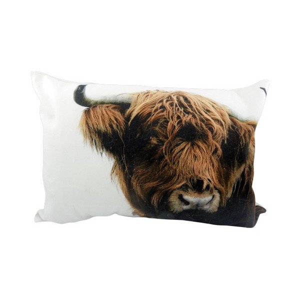 Polštář Scottish Highlander 50x35 cm