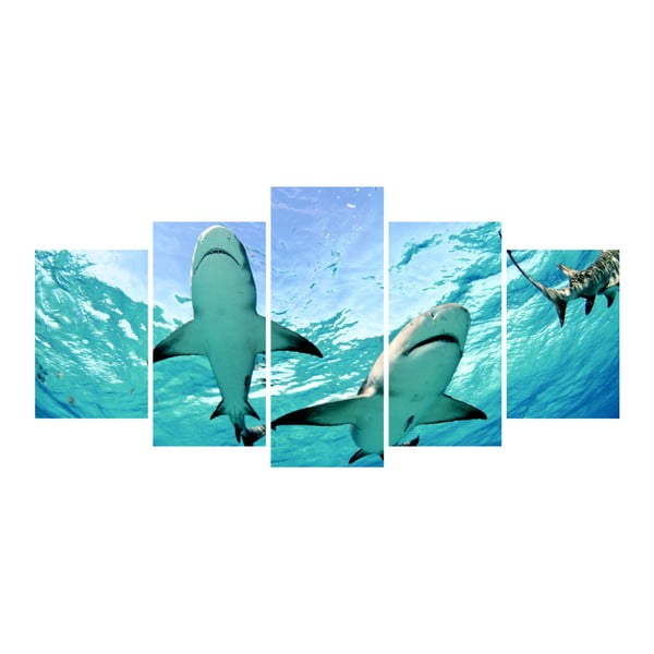 Vícedílný obraz La Maison Des Couleurs Sharks