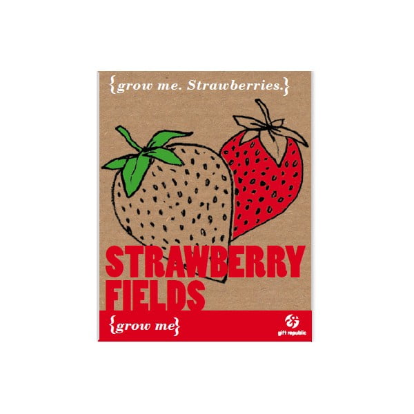 Pěstitelský set se semínky jahod Gift Republic Strawberry