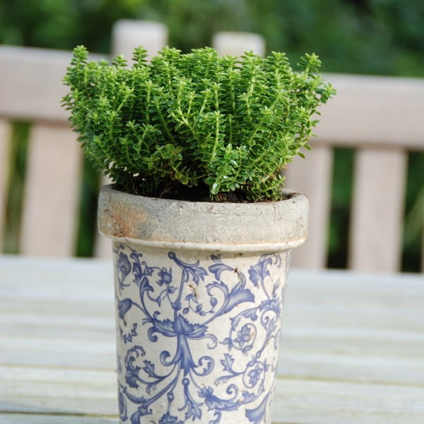 Керамичен съд ø 13 см - Esschert Design-image-2