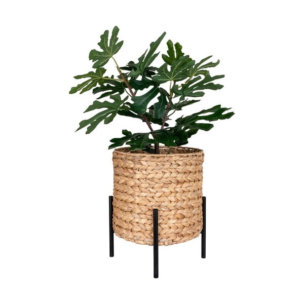 Саксия с воден зюмбюл ø 26,5 cm Antas - House Nordic-image-3