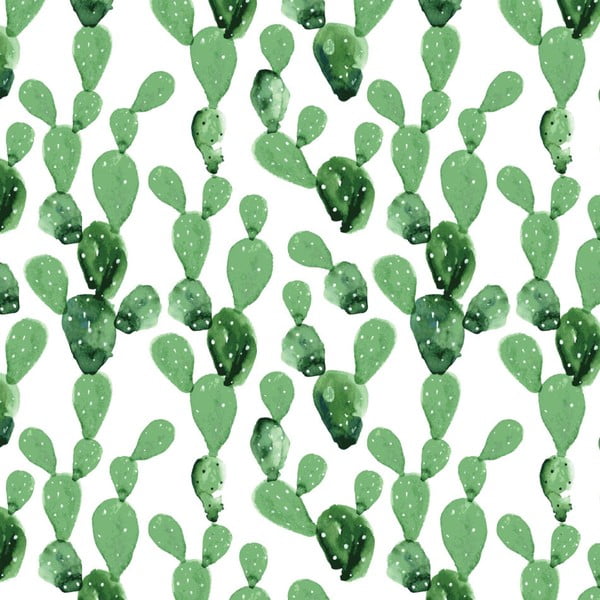 Тапет Cactus, 50 x 280 cm - Dekornik