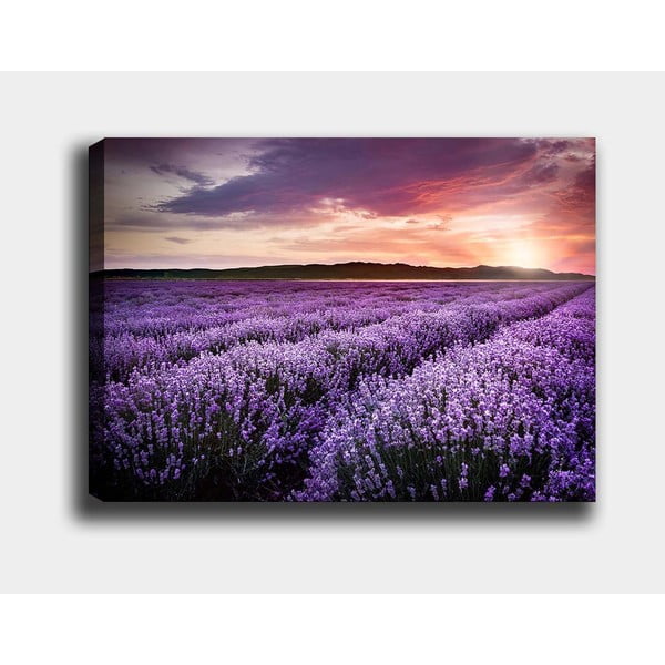 Живопис 100x70 cm Lavender Field - Wallity-image-2