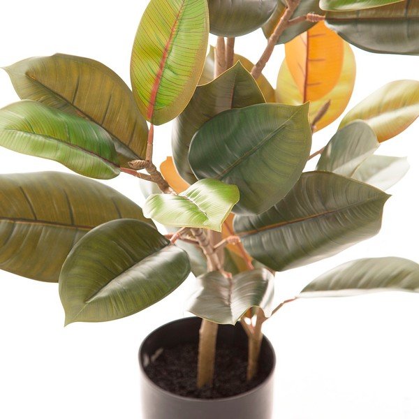 Изкуствен фикус (височина 90 cm) Ficus – Ixia-image-2