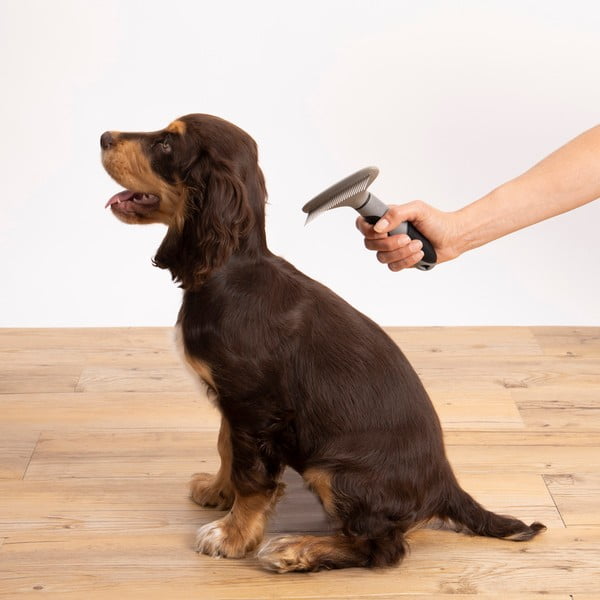 Четка за домашни любимци – Love Story-image-1