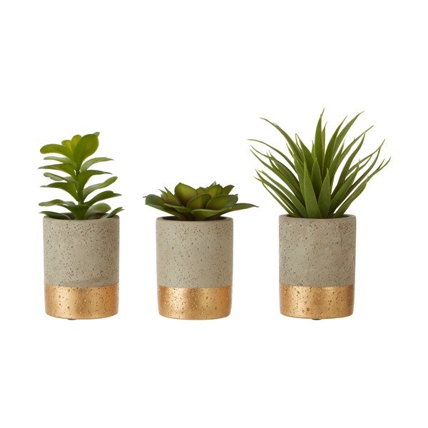 Комплект от 3 сукулента в керамична саксия Fiori - Premier Housewares