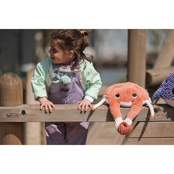 Плюшени играчки 2 бр. Ptipotos Cassecou – Les Deglingos-image-2