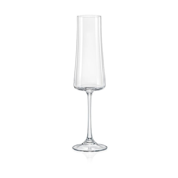 Комплект от 6 чаши за шампанско , 210 ml Xtra - Crystalex