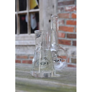 Стъклена ваза (височина 23 cm) Natural History – Esschert Design