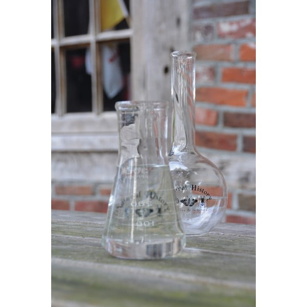 Стъклена ваза (височина 23 cm) Natural History – Esschert Design-image-1