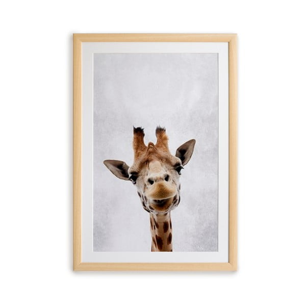 Картина за стена в рамка , 30 x 40 cm Giraffe - Surdic