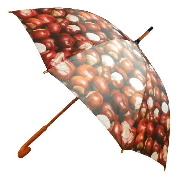 Deštník Chestnust All Over