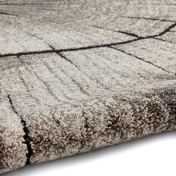Бежов килим 230x160 cm Woodland - Think Rugs-image-2