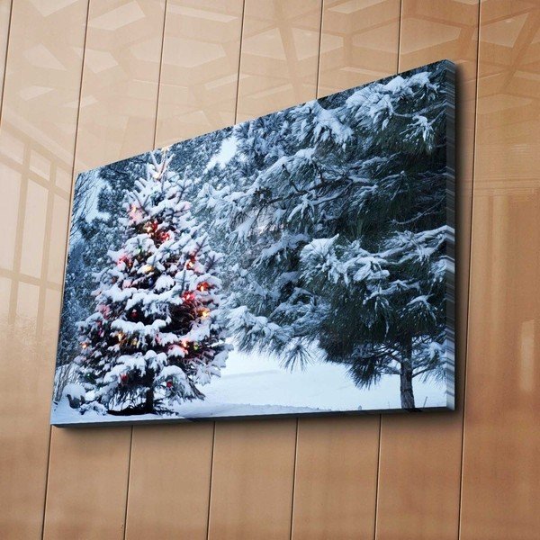Obraz Nature-image-3