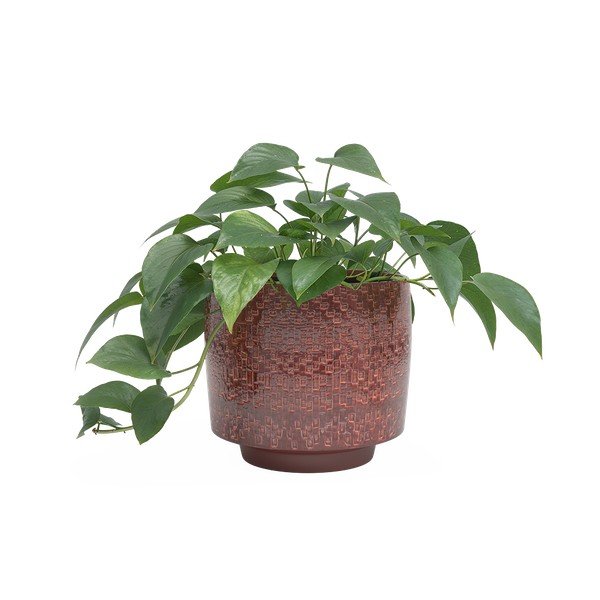 Керамично ръчно изработено покритие за кашпа ø 21 cm Minerva – Artevasi