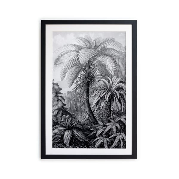 Черно-бял плакат Палма, 60 x 40 cm BW Palm - Surdic