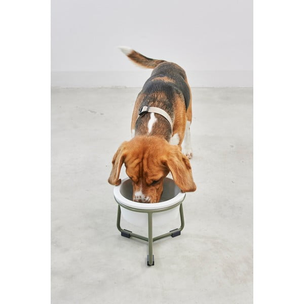 Порцеланова купа с основа за куче ø 20 cm Pranzo Grolive M – MiaCara-image-1