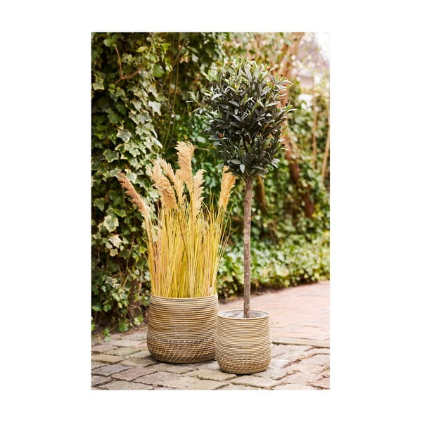 Ратанови кошници в комплект 2 бр. ø 39x35 cm Moro – House Nordic-image-2